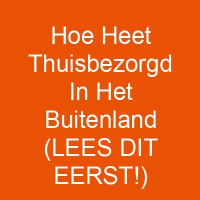 Hoe Heet Thuisbezorgd In Het Buitenland (LEES DIT EERST!)