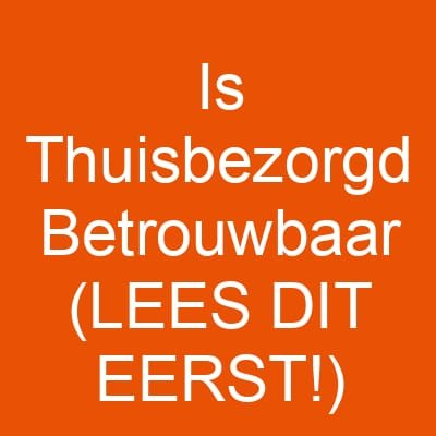 Is Thuisbezorgd Betrouwbaar (LEES DIT EERST!)