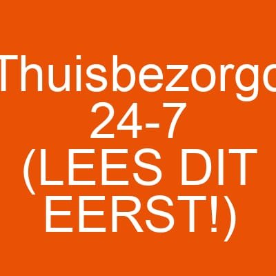 Thuisbezorgd 24-7 (LEES DIT EERST!)
