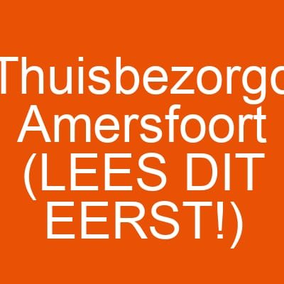 Thuisbezorgd Amersfoort (LEES DIT EERST!)