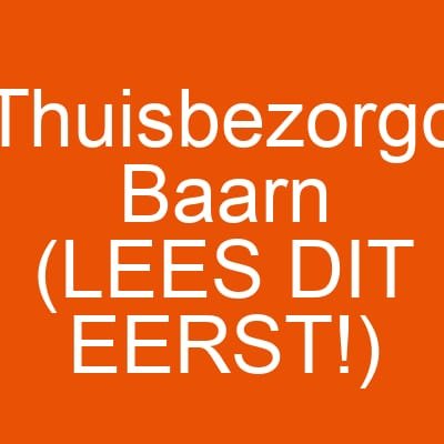Thuisbezorgd Baarn (LEES DIT EERST!)