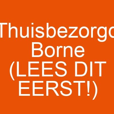 Thuisbezorgd Borne (LEES DIT EERST!)