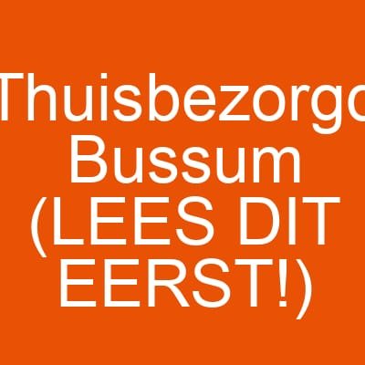 Thuisbezorgd Bussum (LEES DIT EERST!)