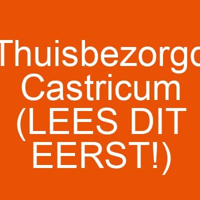 Thuisbezorgd Castricum (LEES DIT EERST!)