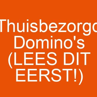 Thuisbezorgd Domino’s (LEES DIT EERST!)