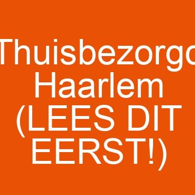 Thuisbezorgd Haarlem (LEES DIT EERST!)