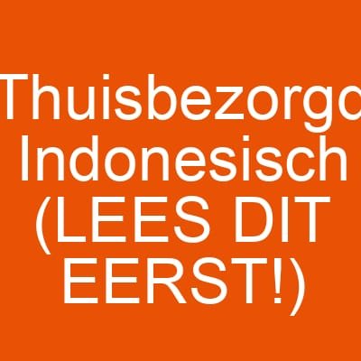 Thuisbezorgd Indonesisch (LEES DIT EERST!)