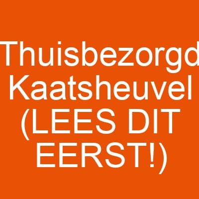 Thuisbezorgd Kaatsheuvel (LEES DIT EERST!)