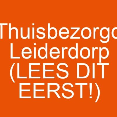 Thuisbezorgd Leiderdorp (LEES DIT EERST!)