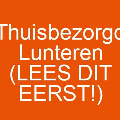 Thuisbezorgd Lunteren (LEES DIT EERST!)