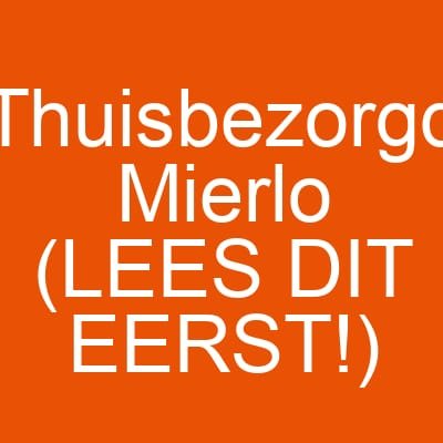 Thuisbezorgd Mierlo (LEES DIT EERST!)