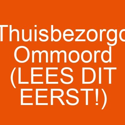 Thuisbezorgd Ommoord (LEES DIT EERST!)