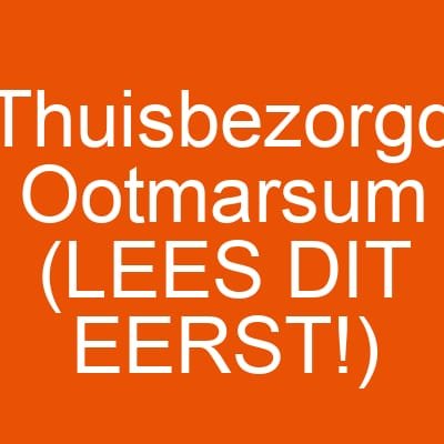 Thuisbezorgd Ootmarsum (LEES DIT EERST!)