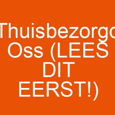 Thuisbezorgd Oss (LEES DIT EERST!)