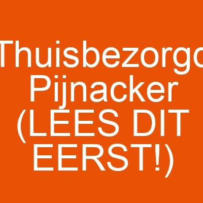 Thuisbezorgd Pijnacker (LEES DIT EERST!)