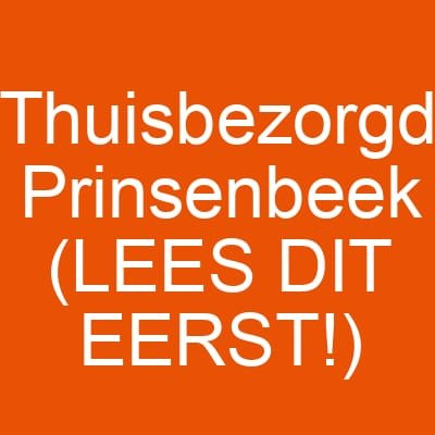Thuisbezorgd Prinsenbeek (LEES DIT EERST!)
