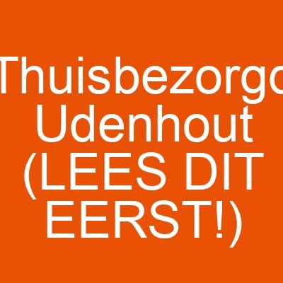 Thuisbezorgd Udenhout (LEES DIT EERST!)