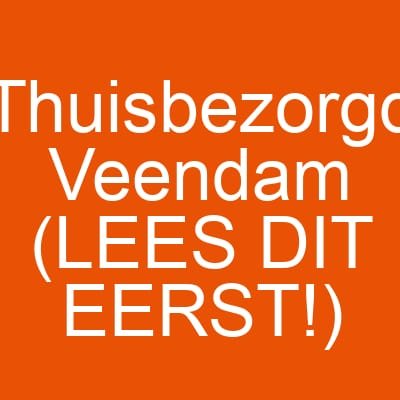 Thuisbezorgd Veendam (LEES DIT EERST!)
