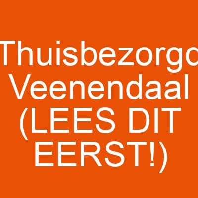 Thuisbezorgd Veenendaal (LEES DIT EERST!)