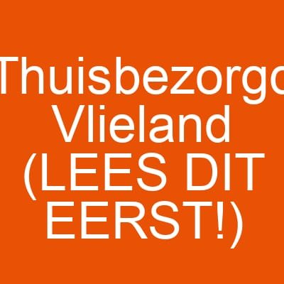Thuisbezorgd Vlieland (LEES DIT EERST!)