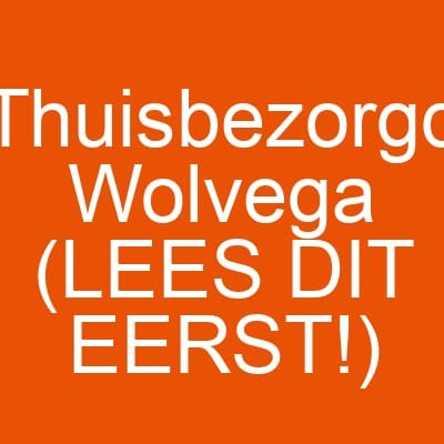 Thuisbezorgd Wolvega (LEES DIT EERST!)