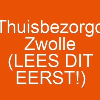 Thuisbezorgd Zwolle (LEES DIT EERST!)